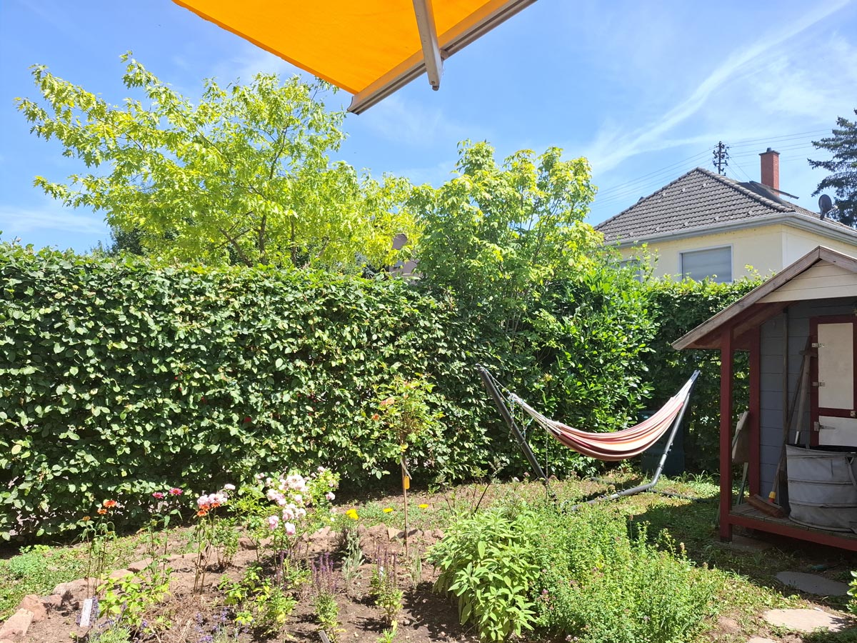 Test in der Sonne