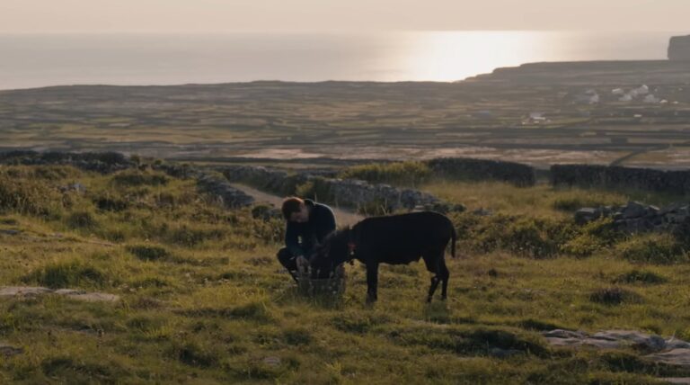 The Banshees of Inisherin