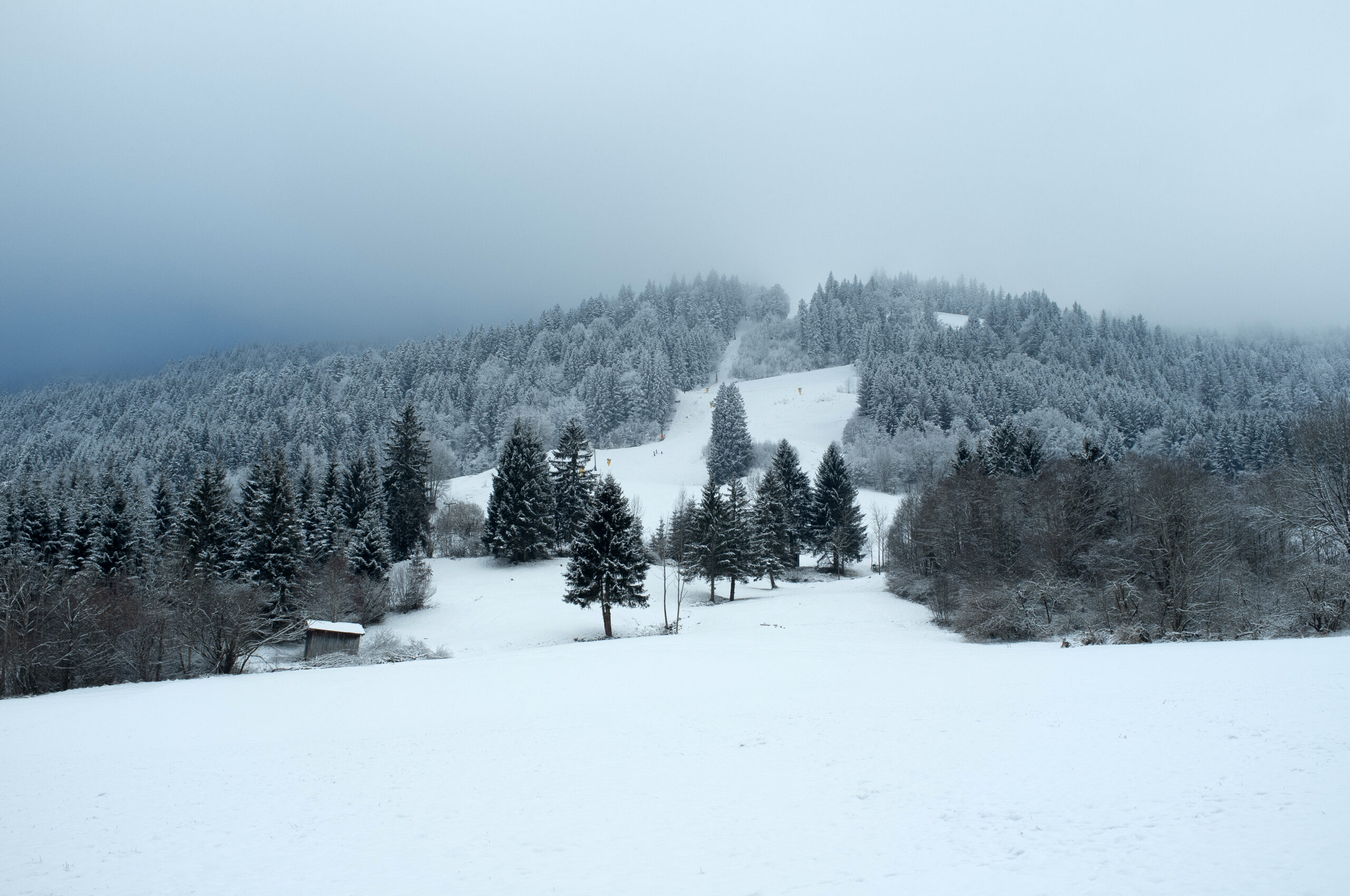 Allgäu