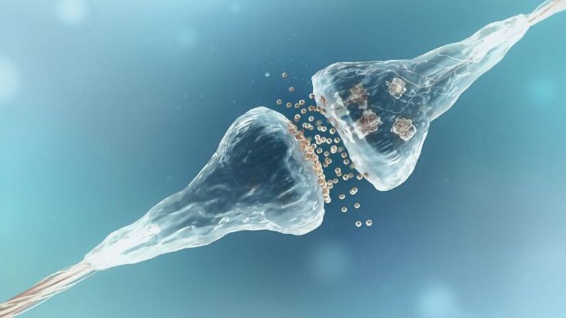 Der innere Jugendliche muss Resonanz finden