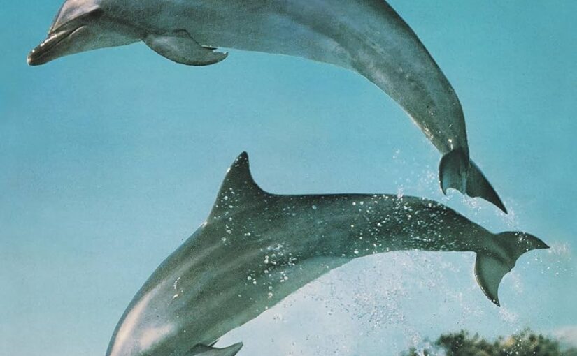 The possibilities are endless